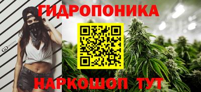 крисы Керчь