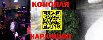 крисы Керчь